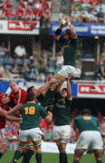 9d52a639635189.gif