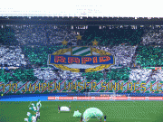 4d001742611391.gif