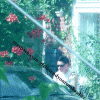 free image host
