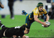 8d892949347943.gif