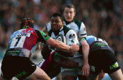 db263554308656.gif