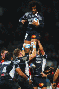 91e16b59532039.gif